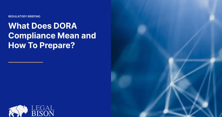 What Does DORA Compliance Mean and How To Prepare? image