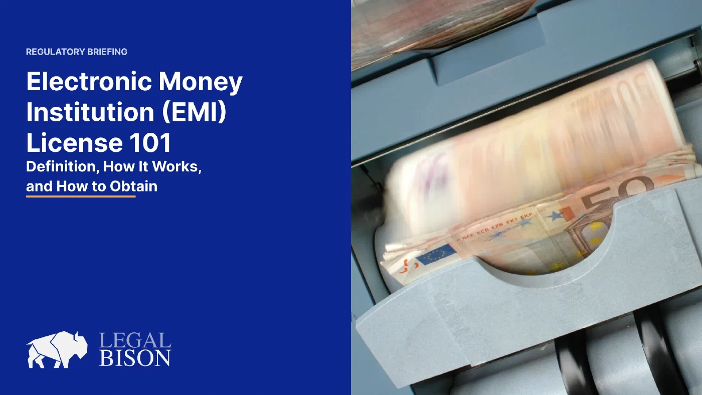 Electronic Money Institution (EMI) License 101: Definition, How It Works, and How to Obtain image