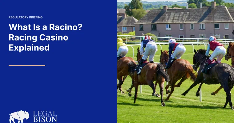 Racino, Explained image